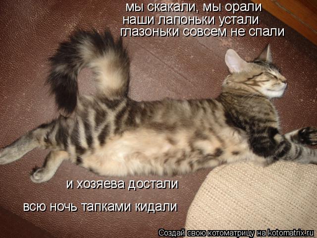 мы скакали, мы орали наши лапоньки устали и хозяева достали всю ночь тапками кидали глазоньки совсем ... Котоматрица: мы скакали, мы орали наши лапоньки устали и хозяева достали всю ночь тапками кидали глазоньки совсем не спали
