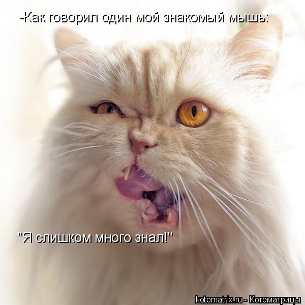 -Как говорил один мой знакомый мышь: "Я слишком много знал!"... Котоматрица: -Как говорил один мой знакомый мышь: "Я слишком много знал!"