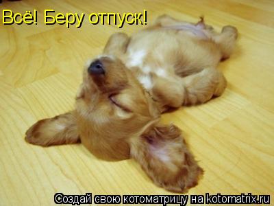 Всё! Беру отпуск!... Котоматрица: Всё! Беру отпуск!