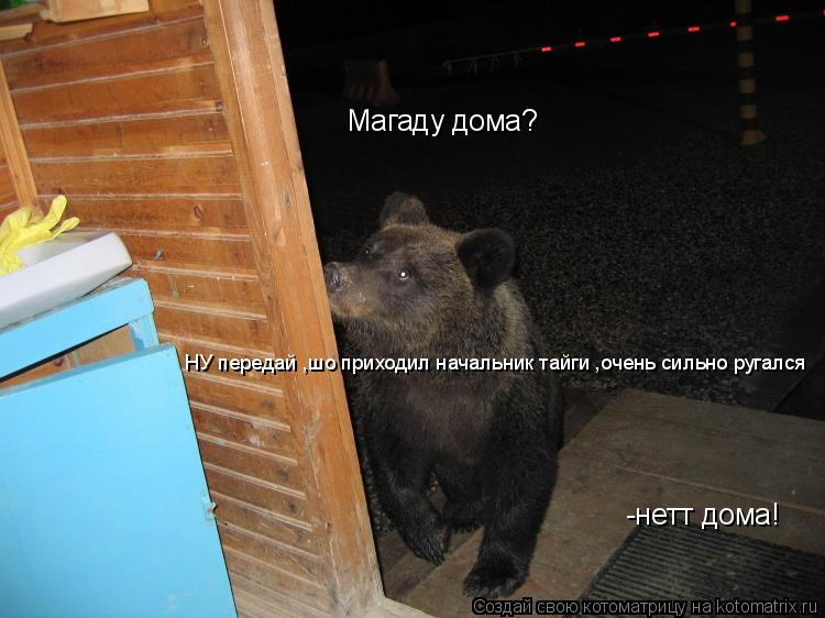 Магаду дома? -нетт дома! НУ передай ,шо приходил начальник тайги ,очень сильно ругался... Котоматрица: Магаду дома? -нетт дома! НУ передай ,шо приходил начальник тайги ,очень сильно ругался