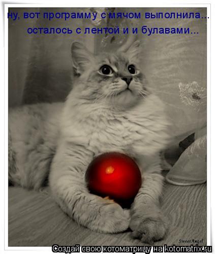 ну, вот программу с мячом выполнила... осталось с лентой и и булавами...... Котоматрица: ну, вот программу с мячом выполнила... осталось с лентой и и булавами...
