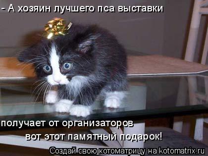 - А хозяин лучшего пса выставки получает от организаторов вот этот памятный подарок!... Котоматрица: - А хозяин лучшего пса выставки получает от организаторов вот этот памятный подарок!