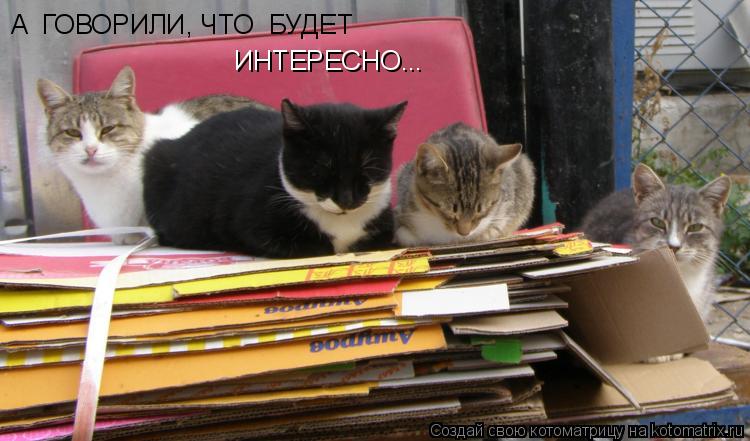 A ГОВОРИЛИ, ЧТО БУДЕТ ИНТЕРЕСНО...... Котоматрица: A ГОВОРИЛИ, ЧТО БУДЕТ ИНТЕРЕСНО...