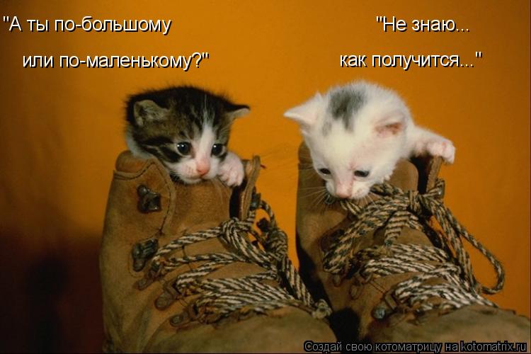 или по-маленькому?" "А ты по-большому "Не знаю... как получится..."... Котоматрица: или по-маленькому?" "А ты по-большому "Не знаю... как получится..."