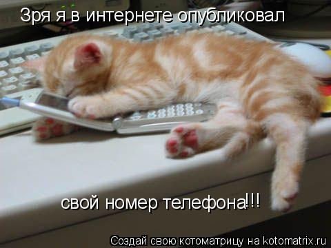Зря я в интернете опубликовал свой номер телефона !!!... Котоматрица: Зря я в интернете опубликовал свой номер телефона !!!