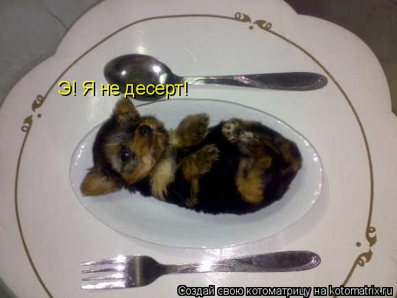 Э! Я не десерт!... Котоматрица: Э! Я не десерт!
