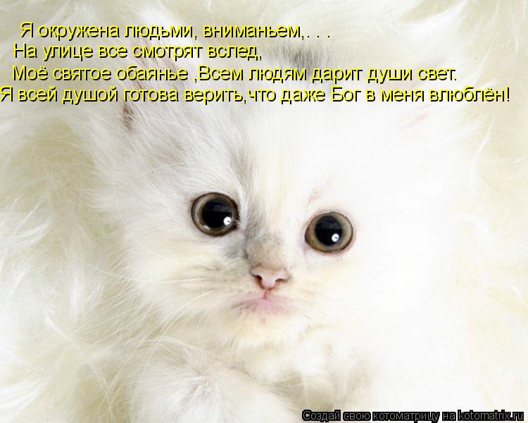 Я окружена людьми, вниманьем,. . . На улице все смотрят вслед, Моё святое обаянье ,Всем людям дарит ... Котоматрица: Я окружена людьми, вниманьем,. . . На улице все смотрят вслед, Моё святое обаянье ,Всем людям дарит души свет. Я всей душой готова верить,что д
