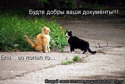 Будте добры ваши документы!!! Бля... во попал то...... Котоматрица: Будте добры ваши документы!!! Бля... во попал то...