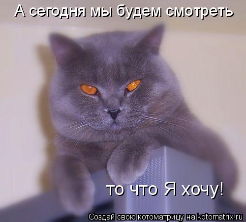 А сегодня мы будем смотреть то что Я хочу!... Котоматрица: А сегодня мы будем смотреть то что Я хочу!