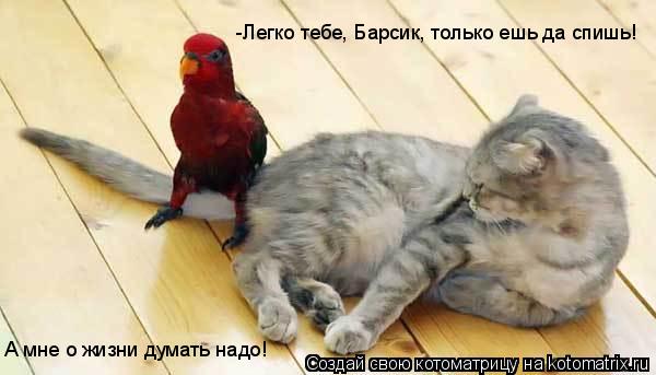 -Легко тебе, Барсик, только ешь да спишь! А мне о жизни думать надо!... Котоматрица: -Легко тебе, Барсик, только ешь да спишь! А мне о жизни думать надо!