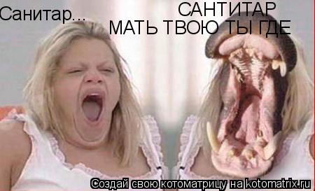 Санитар... САНТИТАР МАТЬ ТВОЮ ТЫ ГДЕ... Котоматрица: Санитар... САНТИТАР МАТЬ ТВОЮ ТЫ ГДЕ