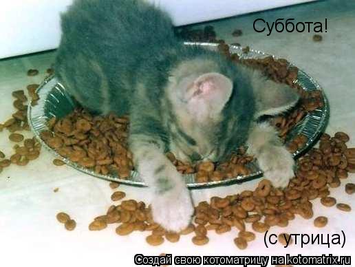 Суббота! (с утрица)... Котоматрица: Суббота! (с утрица)