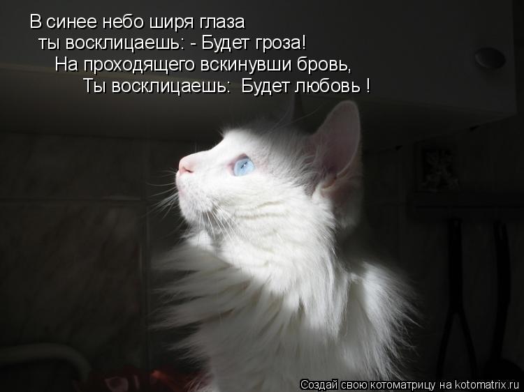 В синее небо ширя глаза ты восклицаешь: - Будет гроза! На проходящего вскинувши бровь, Ты восклицаешь... Котоматрица: В синее небо ширя глаза ты восклицаешь: - Будет гроза! На проходящего вскинувши бровь, Ты восклицаешь: Будет любовь !
