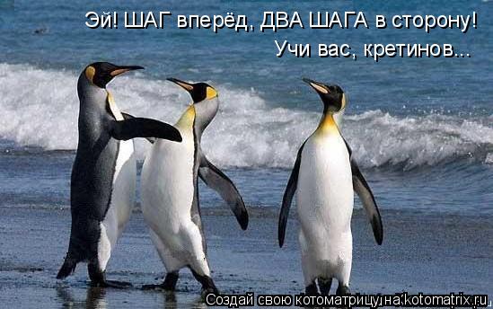 Эй! ШАГ вперёд, ДВА ШАГА в сторону! Учи вас, кретинов...... Котоматрица: Эй! ШАГ вперёд, ДВА ШАГА в сторону! Учи вас, кретинов...
