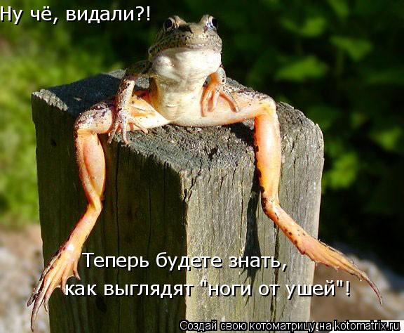 Ну чё, видали?! Теперь будете знать, как выглядят "ноги от ушей"!... Котоматрица: Ну чё, видали?! Теперь будете знать, как выглядят "ноги от ушей"!