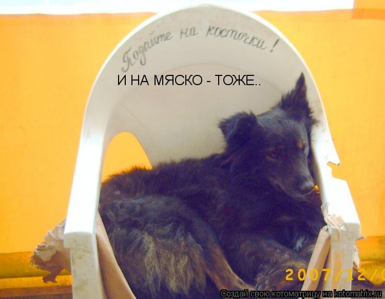 И НА МЯСКО - ТОЖЕ..... Котоматрица: И НА МЯСКО - ТОЖЕ..
