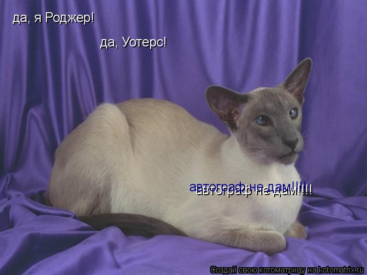 да, я Роджер! да, Уотерс! автограф не дам!!!! автограф не дам!!!!... Котоматрица: да, я Роджер! да, Уотерс! автограф не дам!!!! автограф не дам!!!!