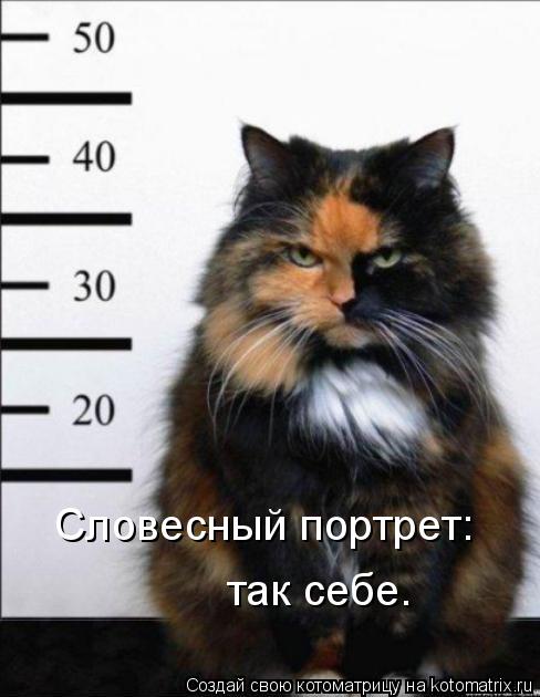 Словесный портрет: так себе.... Котоматрица: Словесный портрет: так себе.