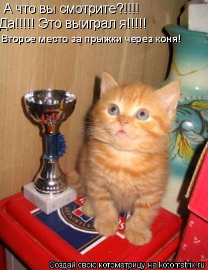А что вы смотрите?!!!! Да!!!!! Это выиграл я!!!!! Второе место за прыжки через коня!... Котоматрица: А что вы смотрите?!!!! Да!!!!! Это выиграл я!!!!! Второе место за прыжки через коня!