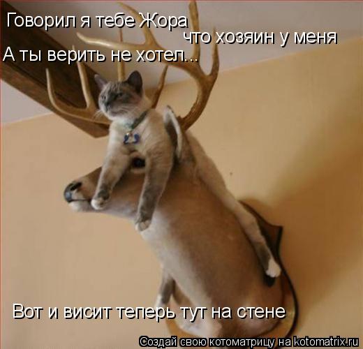 Говорил я тебе Жора что хозяин у меня А ты верить не хотел... Вот и висит теперь тут на стене... Котоматрица: Говорил я тебе Жора что хозяин у меня А ты верить не хотел... Вот и висит теперь тут на стене