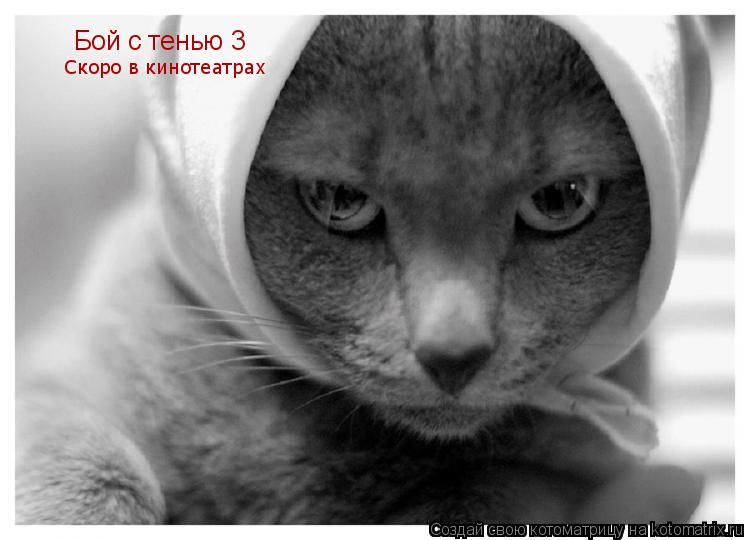 Бой с тенью 3 Скоро в кинотеатрах... Котоматрица: Бой с тенью 3 Скоро в кинотеатрах