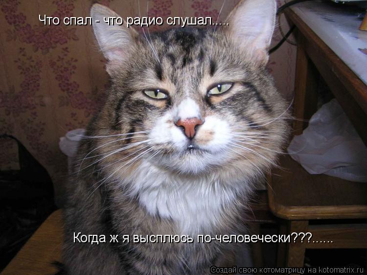 Что спал - что радио слушал..... Когда ж я высплюсь по-человечески???......... Котоматрица: Что спал - что радио слушал..... Когда ж я высплюсь по-человечески???......