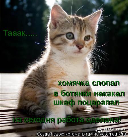 в ботинки накакал шкаф поцарапал хомячка слопал на сегодня работа сделана! Тааак........ Котоматрица: в ботинки накакал шкаф поцарапал хомячка слопал на сегодня работа сделана! Тааак.....