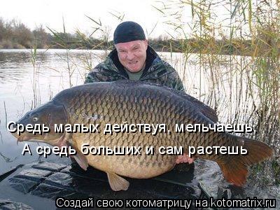 Средь малых действуя, мельчаешь, А средь больших и сам растешь... Котоматрица: Средь малых действуя, мельчаешь, А средь больших и сам растешь