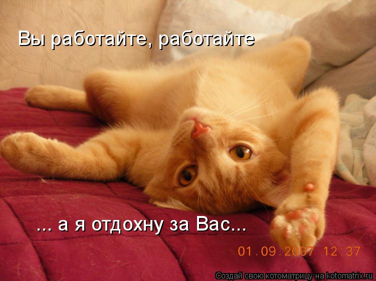 Вы работайте, работайте ... а я отдохну за Вас...... Котоматрица: Вы работайте, работайте ... а я отдохну за Вас...