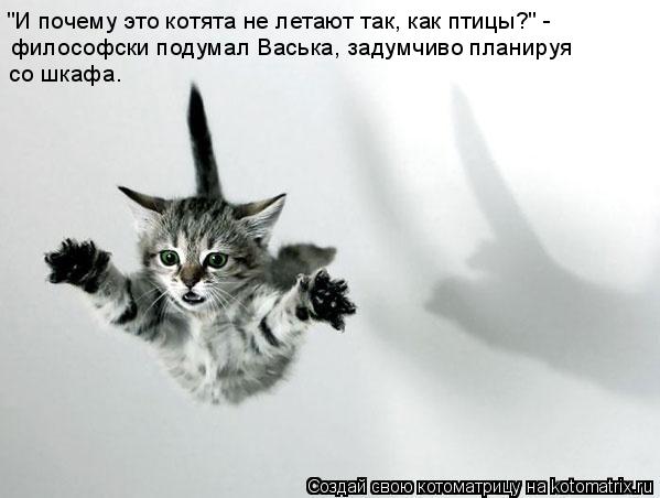 "И почему это котята не летают так, как птицы?" - философски подумал Васька, задумчиво планируя со ... Котоматрица: "И почему это котята не летают так, как птицы?" - философски подумал Васька, задумчиво планируя со шкафа.