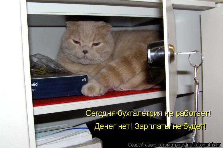 Сегодня бухгалетрия не работает! Денег нет! Зарплаты не будет!... Котоматрица: Сегодня бухгалетрия не работает! Денег нет! Зарплаты не будет!