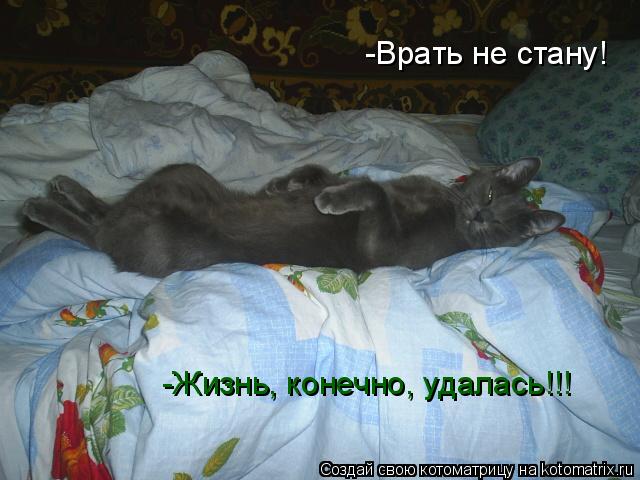 -Врать не стану! -Жизнь, конечно, удалась!!!... Котоматрица: -Врать не стану! -Жизнь, конечно, удалась!!!