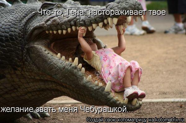 - Что-то, Гена, настораживает твое желание звать меня Чебурашкой...... Котоматрица: - Что-то, Гена, настораживает твое желание звать меня Чебурашкой...