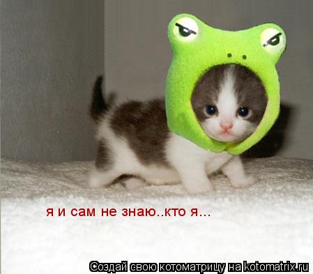я и сам не знаю..кто я...... Котоматрица: я и сам не знаю..кто я...