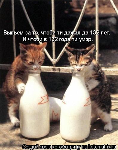 Выпьем за то, чтоби ти дажил да 132 лет. И чтоби в 132 года ти умэр.... Котоматрица: Выпьем за то, чтоби ти дажил да 132 лет. И чтоби в 132 года ти умэр.