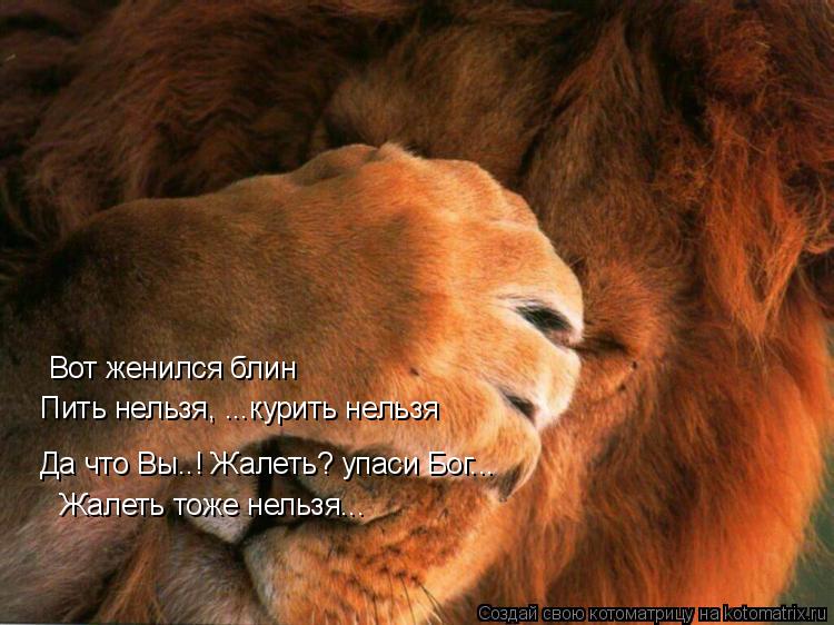 Вот женился блин Пить нельзя, ...курить нельзя Да что Вы..! Жалеть? упаси Бог... Жалеть тоже нельзя..... Котоматрица: Вот женился блин Пить нельзя, ...курить нельзя Да что Вы..! Жалеть? упаси Бог... Жалеть тоже нельзя...