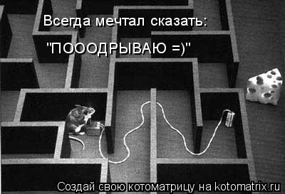 Всегда мечтал сказать: "ПОООДРЫВАЮ =)"... Котоматрица: Всегда мечтал сказать: "ПОООДРЫВАЮ =)"