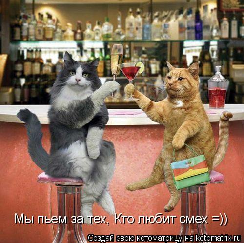 Мы пьем за тех, Кто любит смех =))... Котоматрица: Мы пьем за тех, Кто любит смех =))