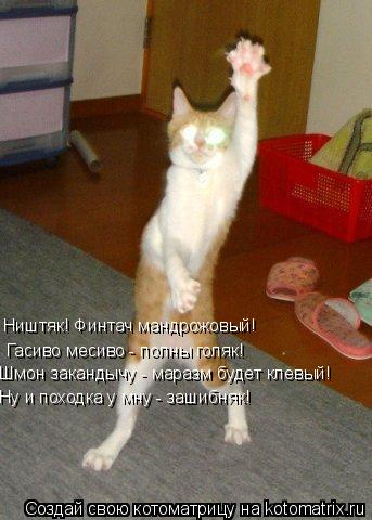 Ништяк! Финтач мандрожовый! Гасиво месиво - полны голяк! Шмон закандычу - маразм будет клевый! Ну и п... Котоматрица: Ништяк! Финтач мандрожовый! Гасиво месиво - полны голяк! Шмон закандычу - маразм будет клевый! Ну и походка у мну - зашибняк!