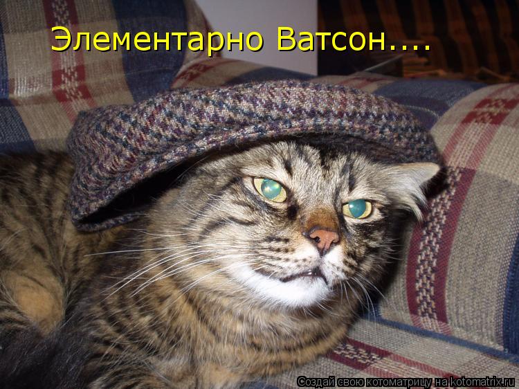 Элементарно Ватсон....... Котоматрица: Элементарно Ватсон....