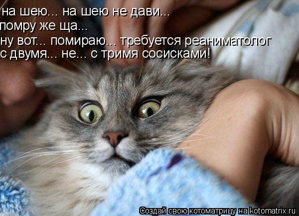 на шею... на шею не дави... помру же ща... ну вот... помираю... требуется реаниматолог с двумя... не... Котоматрица: на шею... на шею не дави... помру же ща... ну вот... помираю... требуется реаниматолог с двумя... не... с тримя сосисками!