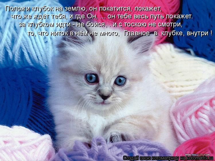 Положи клубок на землю, он покатится, покажет, что же ждёт тебя, и где Он, ... он тебе весь путь пока... Котоматрица: Положи клубок на землю, он покатится, покажет, что же ждёт тебя, и где Он, ... он тебе весь путь покажет. за клубком идти - не бойся, … и с тоскою