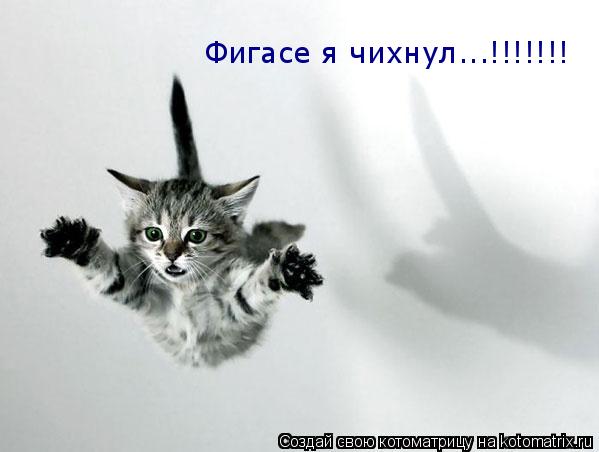 Фигасе я чихнул...!!!!!!!... Котоматрица: Фигасе я чихнул...!!!!!!!