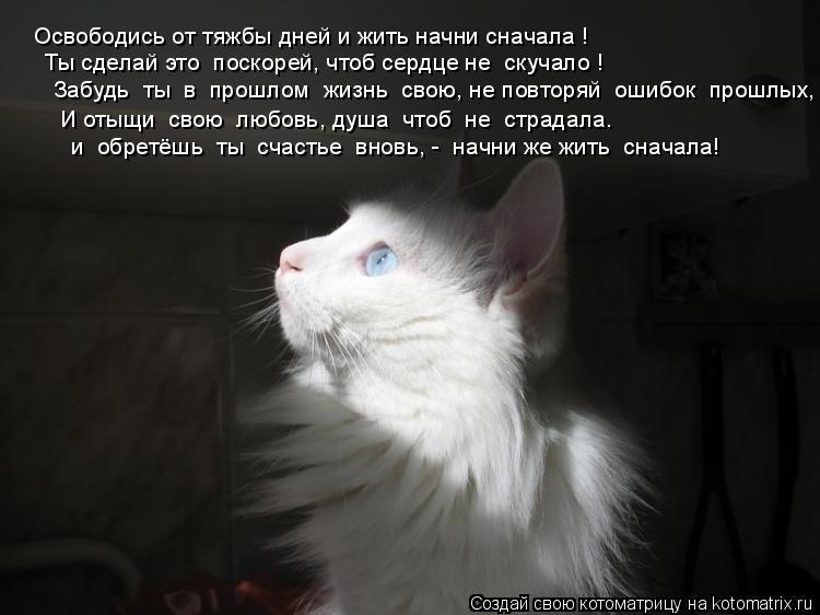 Освободись от тяжбы дней и жить начни сначала ! Ты сделай это поскорей, чтоб сердце не скучало ! За... Котоматрица: Освободись от тяжбы дней и жить начни сначала ! Ты сделай это поскорей, чтоб сердце не скучало ! Забудь ты в прошлом жизнь свою, не повтор