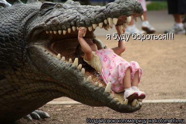 я буду бороться!!!... Котоматрица: я буду бороться!!!