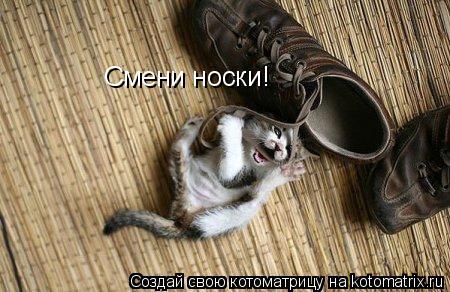 Смени носки!... Котоматрица: Смени носки!