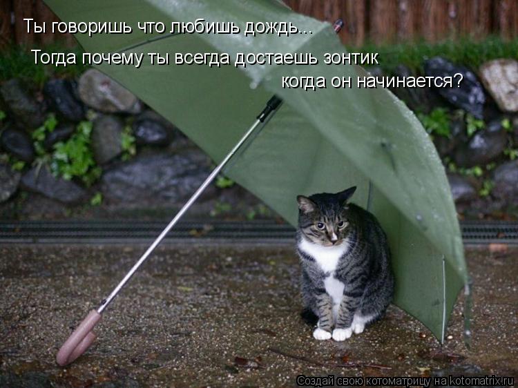 Ты говоришь что любишь дождь... Тогда почему ты всегда достаешь зонтик когда он начинается?... Котоматрица: Ты говоришь что любишь дождь... Тогда почему ты всегда достаешь зонтик когда он начинается?
