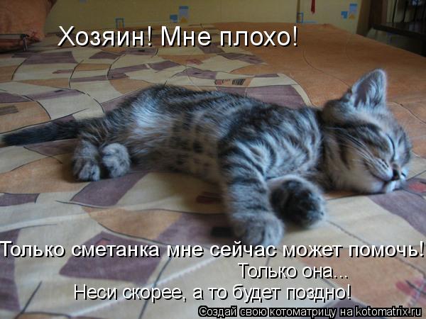 Хозяин! Мне плохо! Только сметанка мне сейчас может помочь! Только она... Неси скорее, а то будет по... Котоматрица: Хозяин! Мне плохо! Только сметанка мне сейчас может помочь! Только она... Неси скорее, а то будет поздно!
