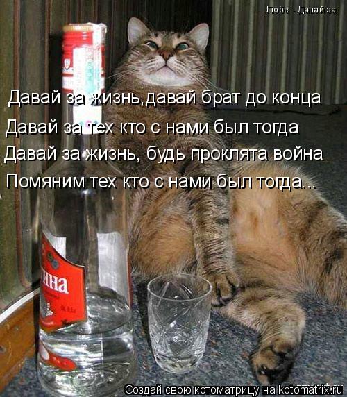 Давай за жизнь,давай брат до конца Давай за тех кто с нами был тогда Давай за жизнь, будь проклята во... Котоматрица: Давай за жизнь,давай брат до конца Давай за тех кто с нами был тогда Давай за жизнь, будь проклята война Помяним тех кто с нами был тогда... Лю