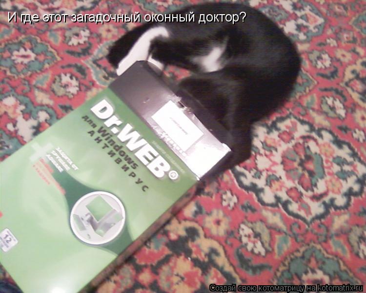 И где этот загадочный оконный доктор?... Котоматрица: И где этот загадочный оконный доктор?